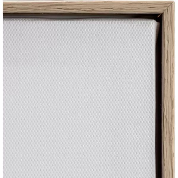 Creative CoOp 275 Inches Canvas Framed Dcor with Alphabet and Corresponding Images Multicolor Wall Decor Multi