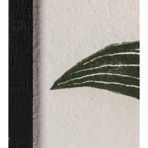 Creative CoOp 30 Inches Wood Framed Textured Flower Prints Multicolor Wall Dcor