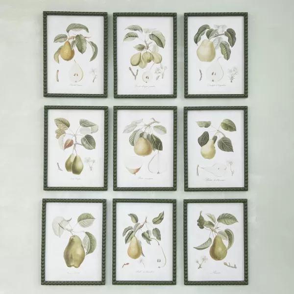 Creative CoOp Orchard Essence Pear Print Collection Multicolor Set of 9