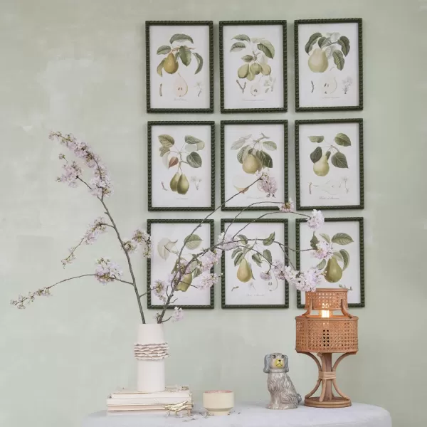 Creative CoOp Orchard Essence Pear Print Collection Multicolor Set of 9