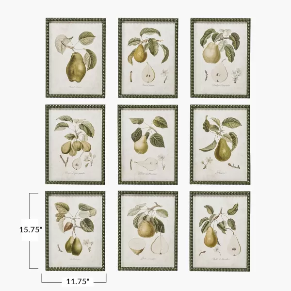 Creative CoOp Orchard Essence Pear Print Collection Multicolor Set of 9
