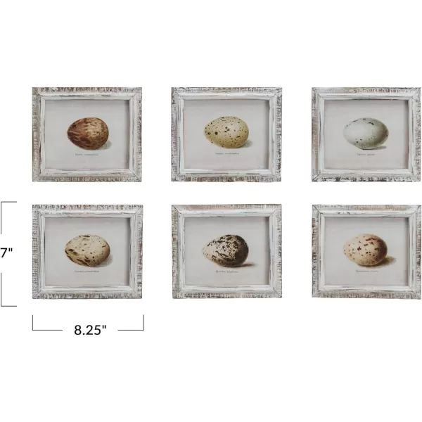 Creative CoOp Rustic Elegance Egg Print Series Multicolor Set of 6