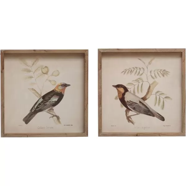 Creative CoOp 14 Inches Square Wood Framed Glass Bird Designs Multicolor Set of 2 Wall Dcor