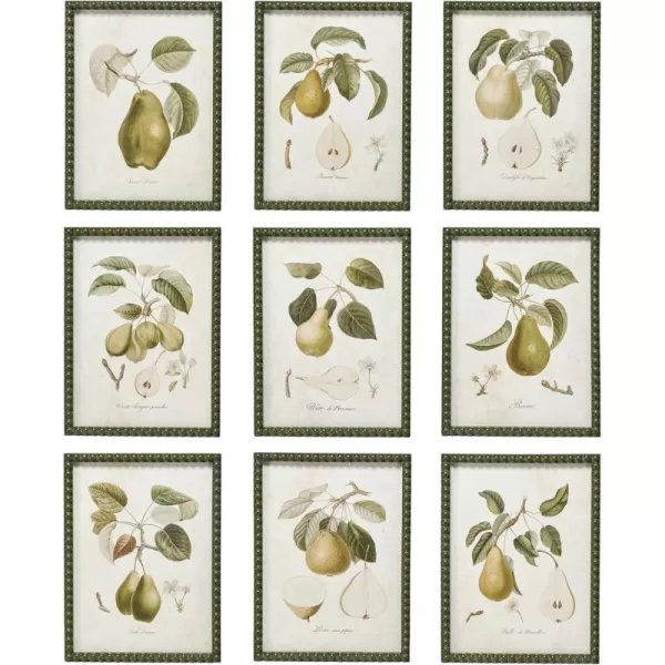 Creative CoOp Orchard Essence Pear Print Collection Multicolor Set of 9