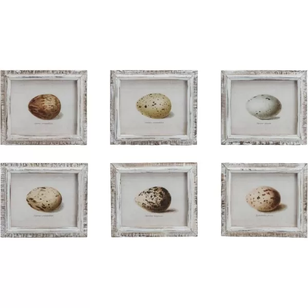 Creative CoOp Rustic Elegance Egg Print Series Multicolor Set of 6