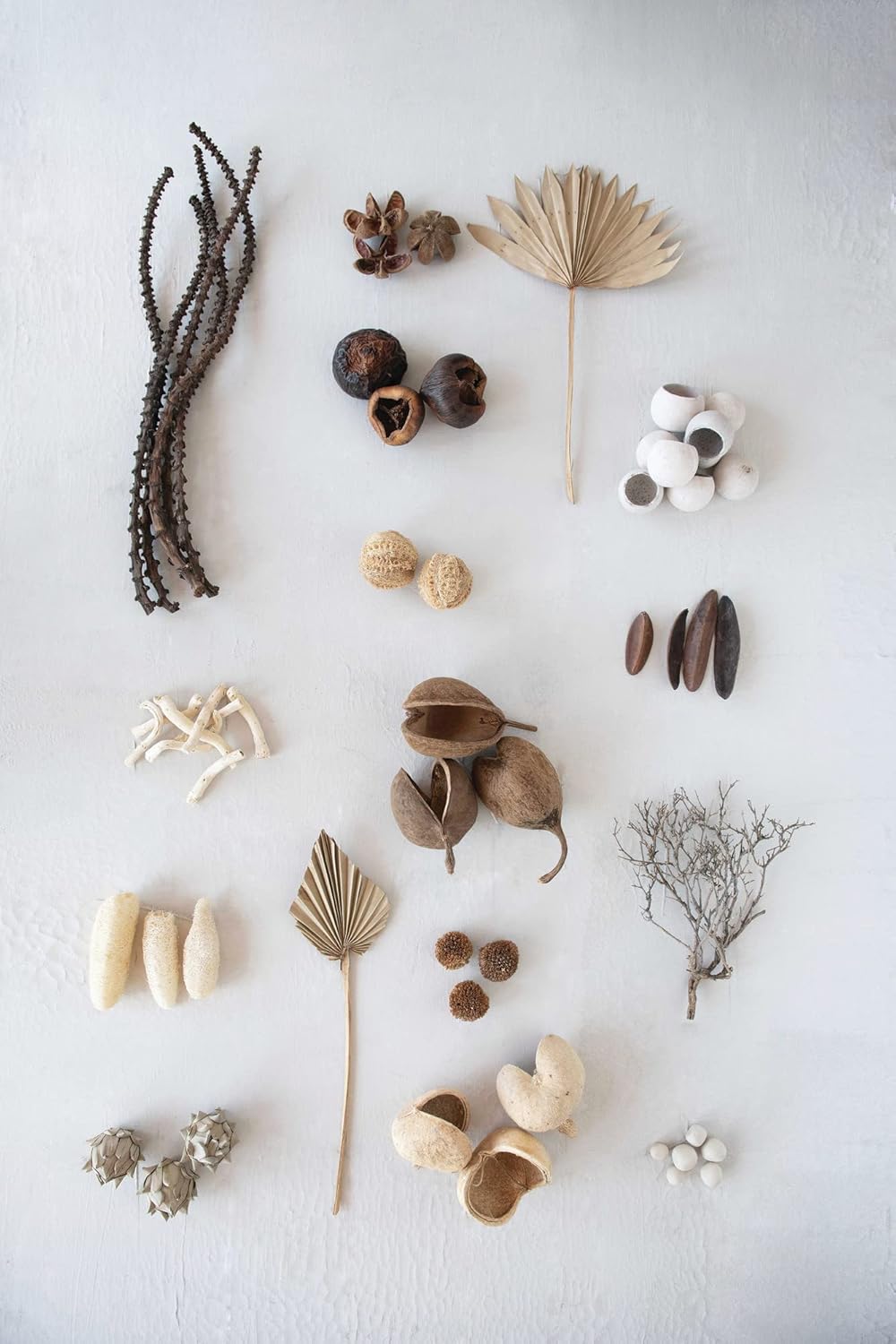 Creative CoOp Approximately 3quot H Handmade Dried Natural Leaf Bag Contains 13 Pieces Palm Lead Artichoke OffWhite CountCauliflower Root