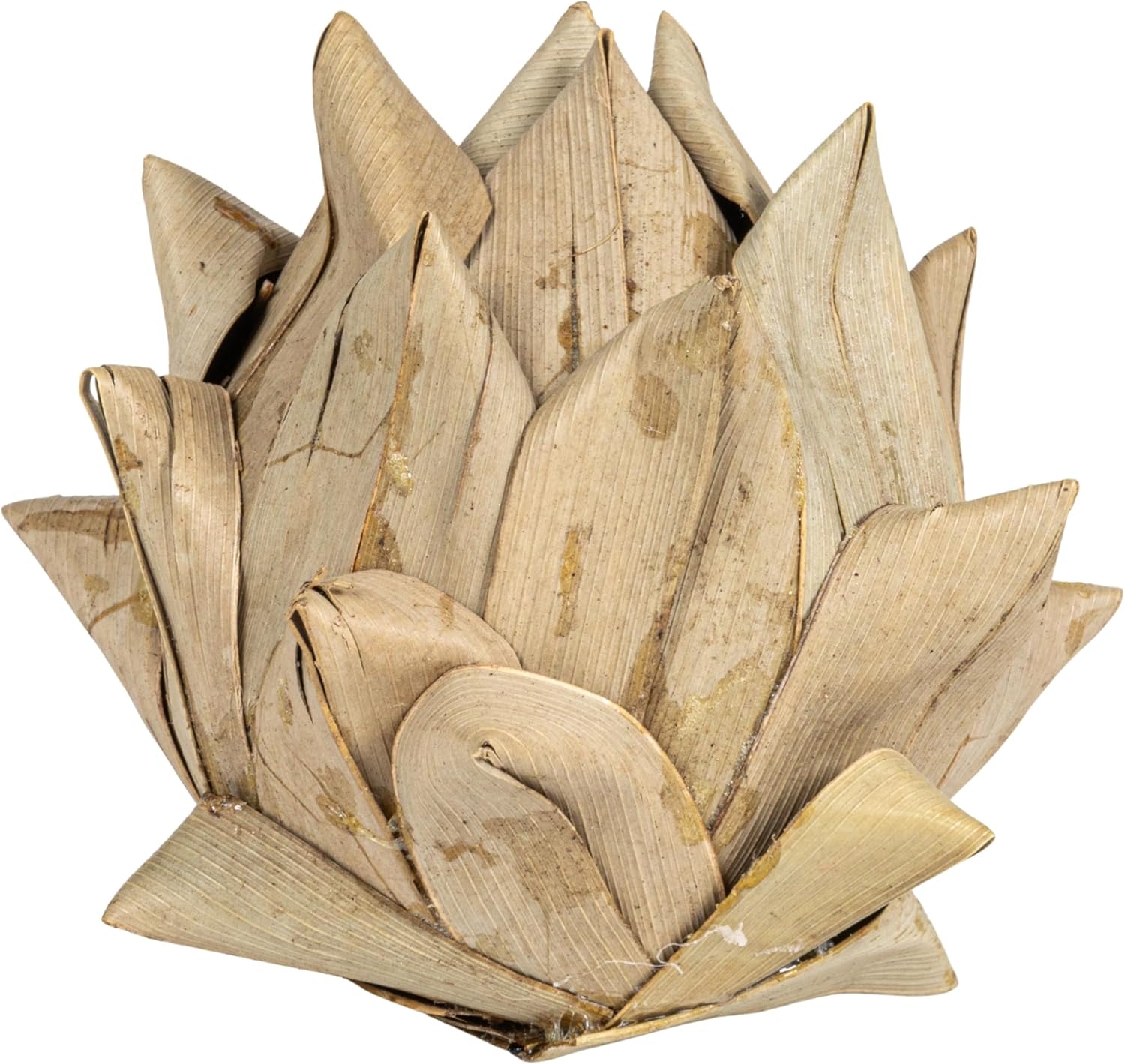 Creative CoOp Approximately 3quot H Handmade Dried Natural Leaf Bag Contains 13 Pieces Palm Lead Artichoke OffWhite CountPalm Leaf Artichoke