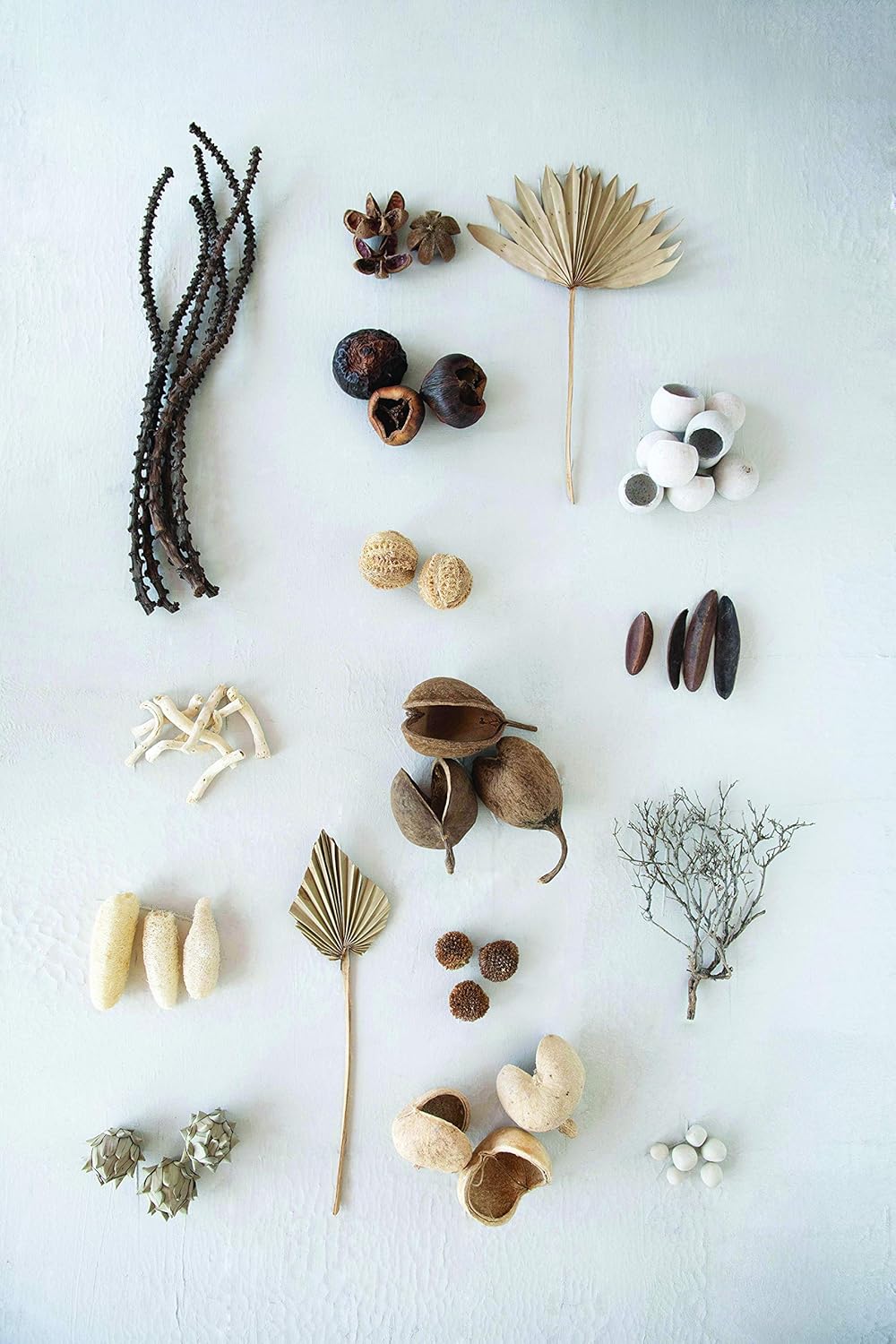 Creative CoOp Approximately 3quot H Handmade Dried Natural Leaf Bag Contains 13 Pieces Palm Lead Artichoke OffWhite CountPalm Leaf Artichoke