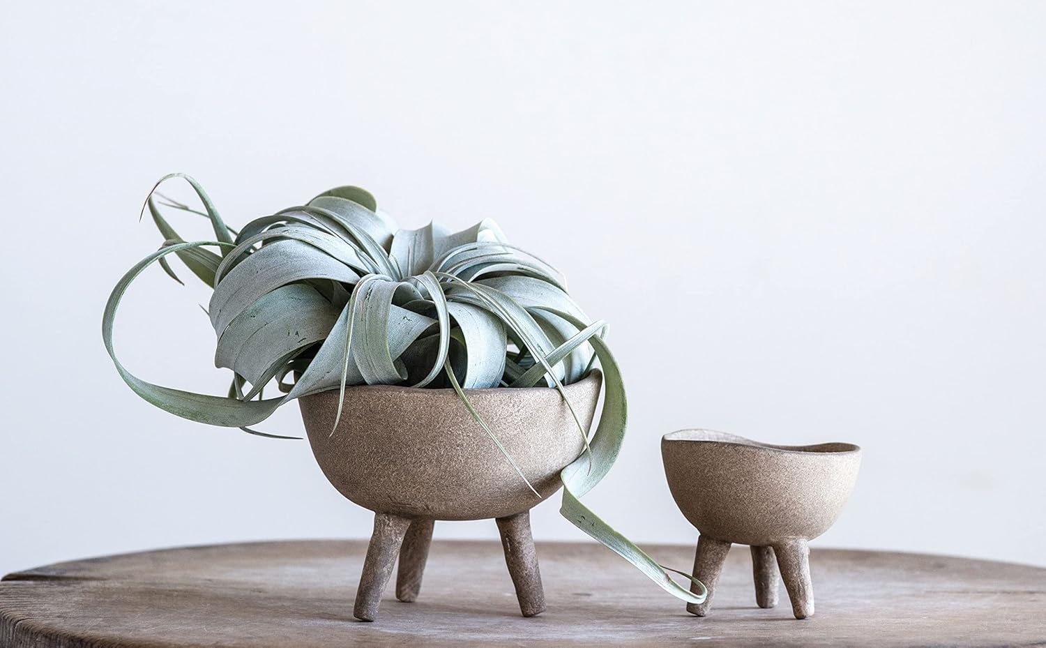 Creative CoOp Boho Terracotta Footed Planter with Organic Edge Matte TaupeTaupe