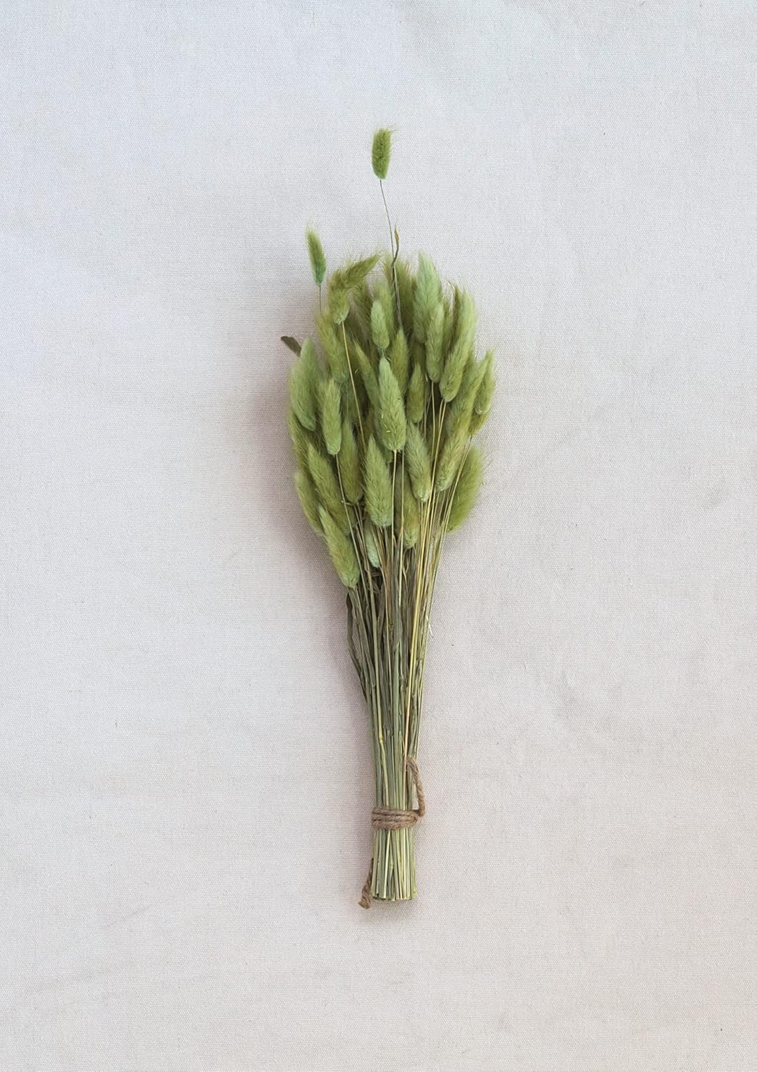 Creative CoOp Bunny Tail Grass Bouquet