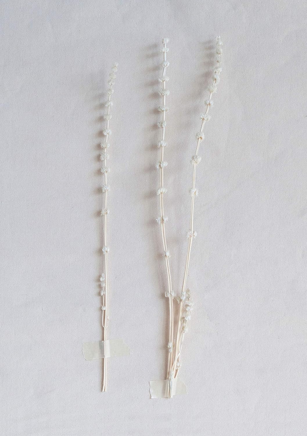 Creative CoOp DF0816 Bouquet Lions Tail White