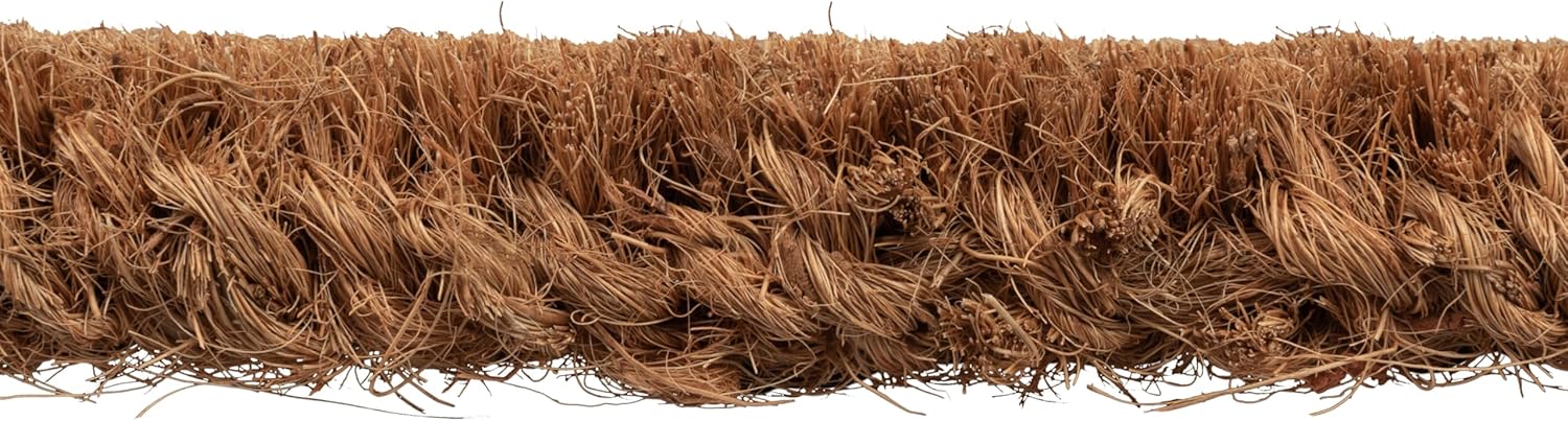 Creative CoOp I Hope You Brought Wine Coir Doormat 32quot L x 16quot W x 1quot H NaturalBlack