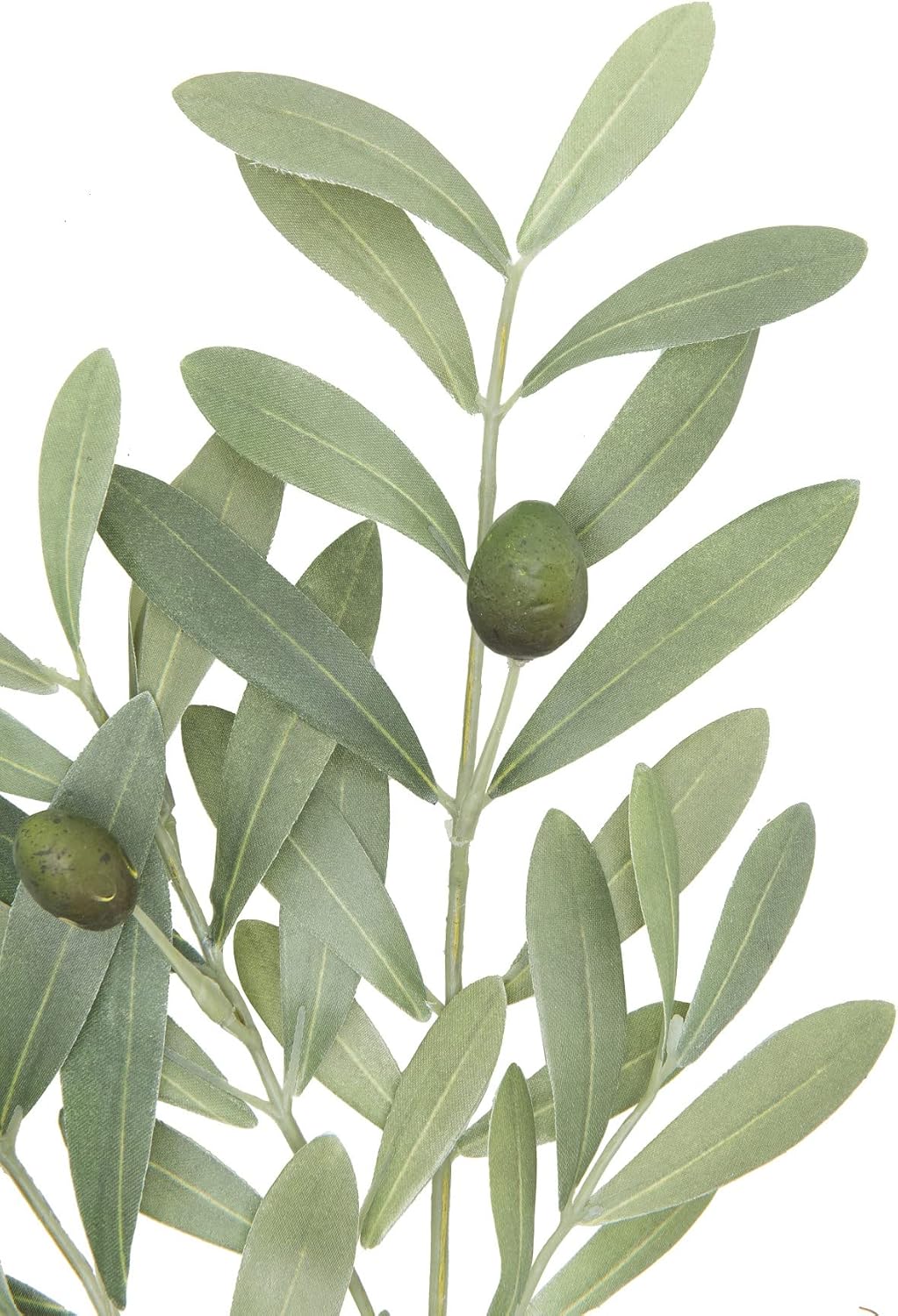 Creative CoOp Olive Branch Faux Botanical Green