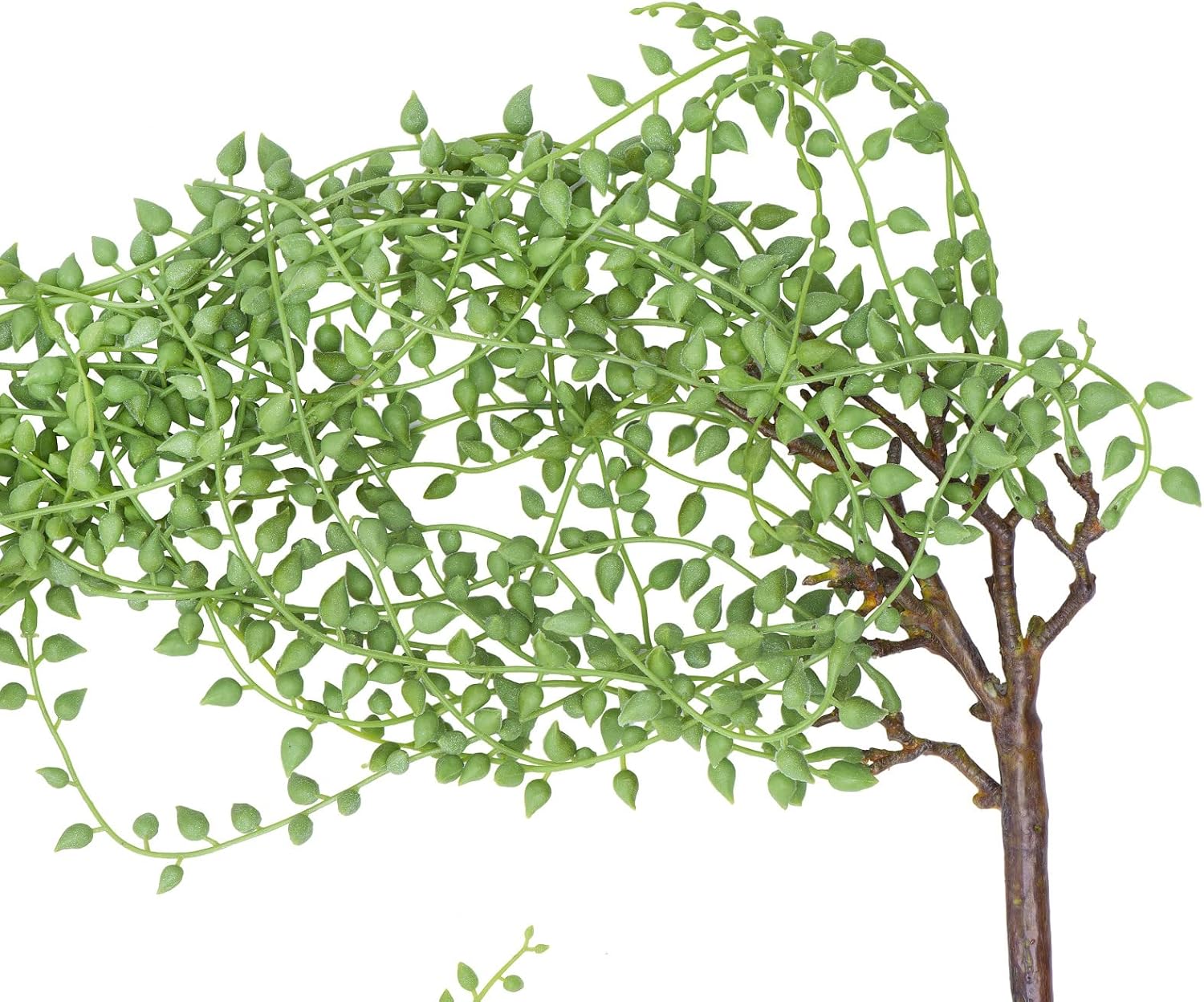 Creative CoOp String of Pearl Pick Faux Botanical Green