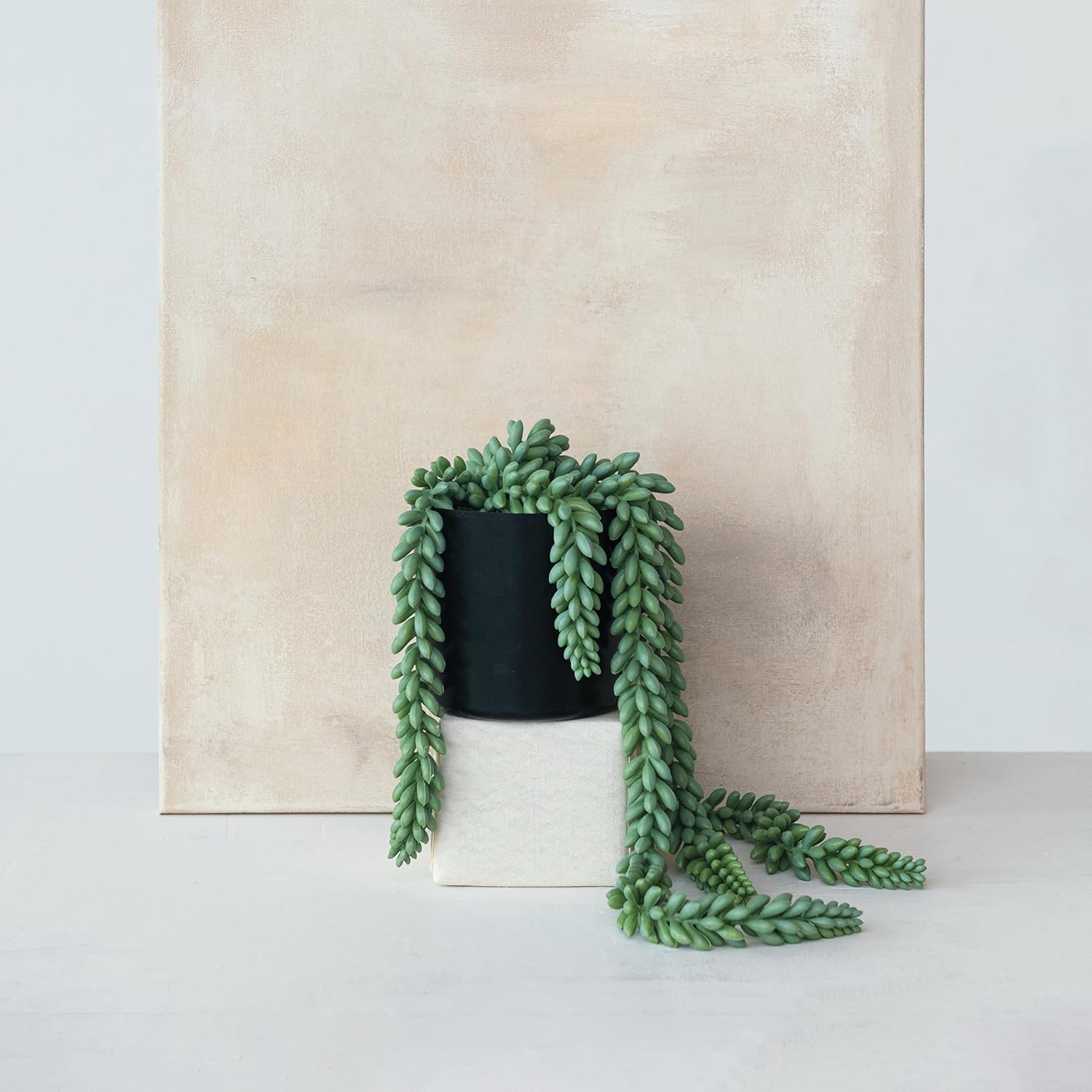 Creative CoOp Verdant Faux Donkey Tail Plant in Round Plastic Pot Green