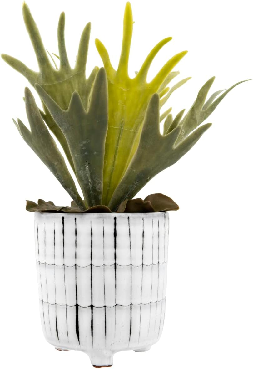 Creative CoOp White ampamp Black Terracotta Footed Planter