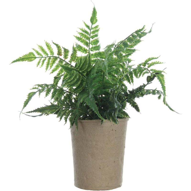 Creative CoOp Faux Fern in Paper Pot