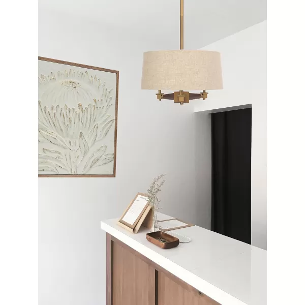 Creative CoOp 18 Inch Brushed Gold and Wood Drum Pendant