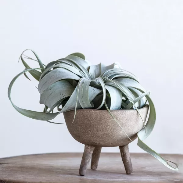 Creative CoOp Boho Terracotta Footed Planter with Organic Edge Matte TaupeTaupe