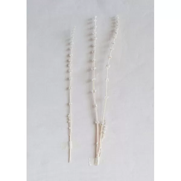 Creative CoOp DF0816 Bouquet Lions Tail White