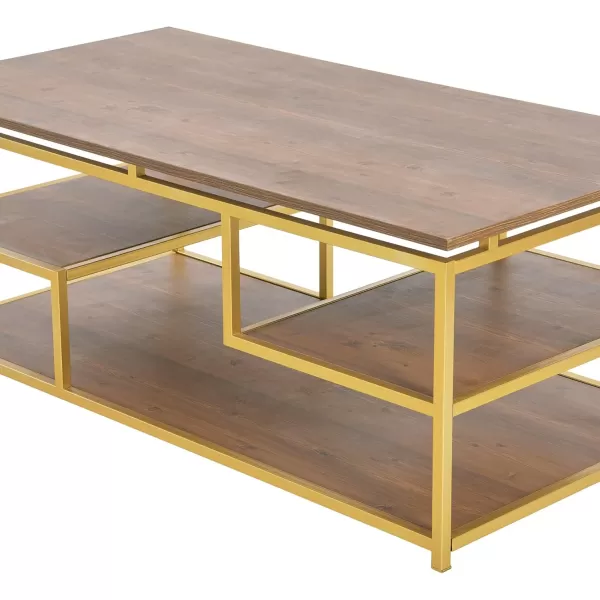 Creative CoOp MultiTiered Coffee Table Natural and Gold