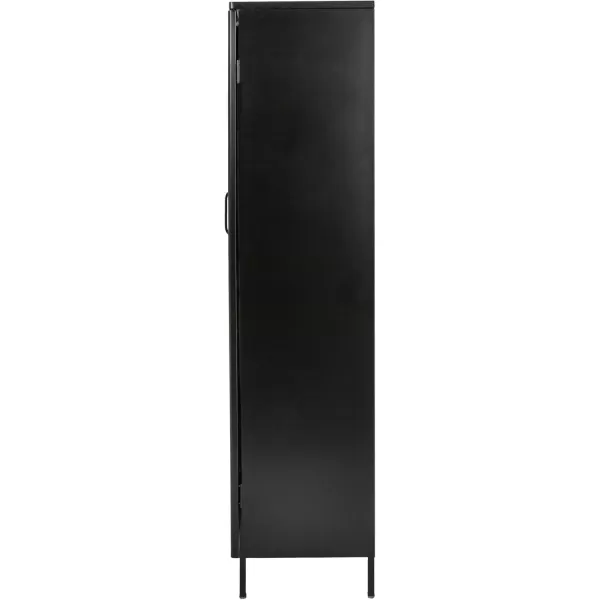 Creative CoOp Solstice Metal Cabinet with 2 Arched Glass Doors Dark GreenMatte Black
