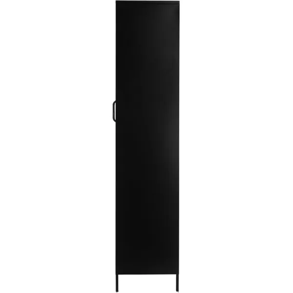 Creative CoOp Solstice Metal Cabinet with 2 Arched Glass Doors Dark GreenMatte Black
