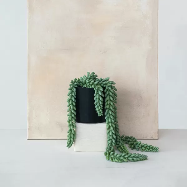 Creative CoOp Verdant Faux Donkey Tail Plant in Round Plastic Pot Green