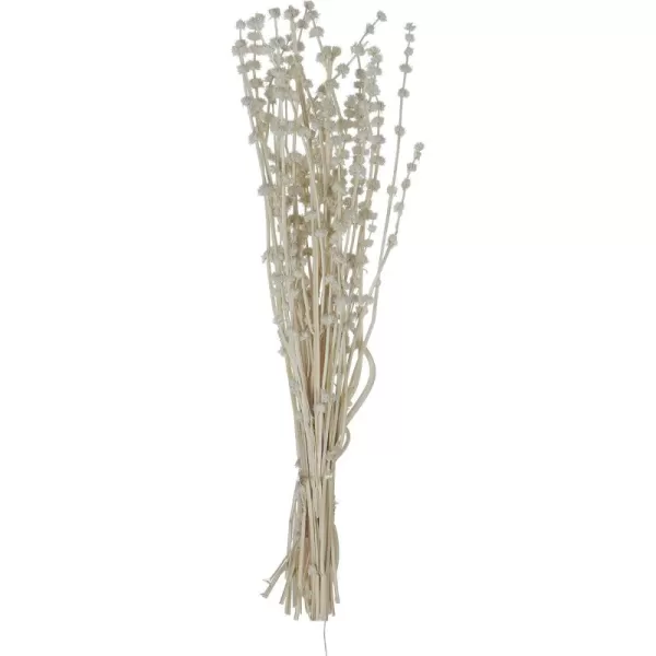 Creative CoOp DF0816 Bouquet Lions Tail White