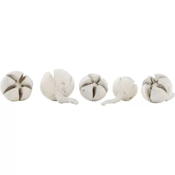 Creative CoOp Schima Buds in Poly Bag with Heard Card