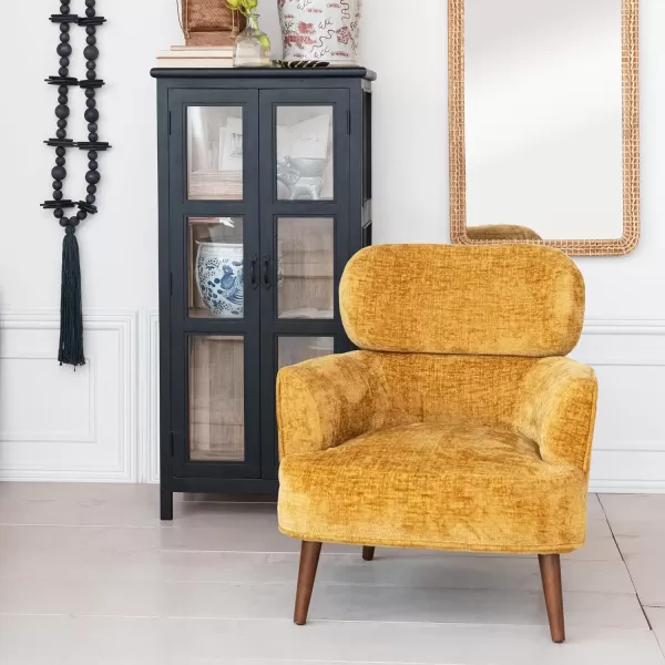 Creative CoOp Black Contemporary Mango Wood and Glass Cabinet