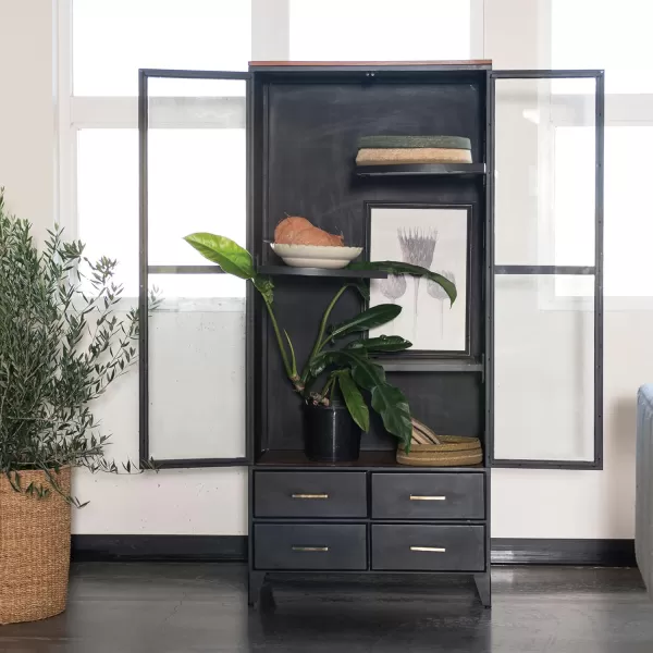 Creative CoOp Modern Acacia Wood and Metal 2 Glass Doors Black Cabinet Gray