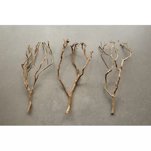 imageCreative CoOp 27quot Natural Tea Tree Branch Decoration Set of 12 PiecesEach one Will Vary Artificial Plants Brown