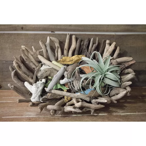 imageCreative CoOp Driftwood Tray