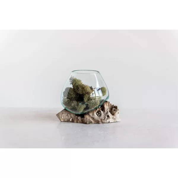 imageCreative CoOp Glass Vase on Natural Wood Base Planter Clear