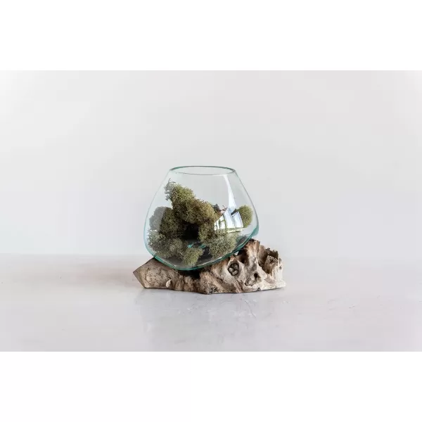 imageCreative CoOp Glass Vase on Natural Wood Base Planter Clear