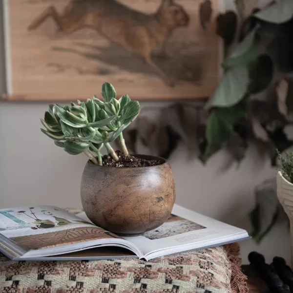 imageCreative CoOp Mango Wood Bowl Walnut Finish