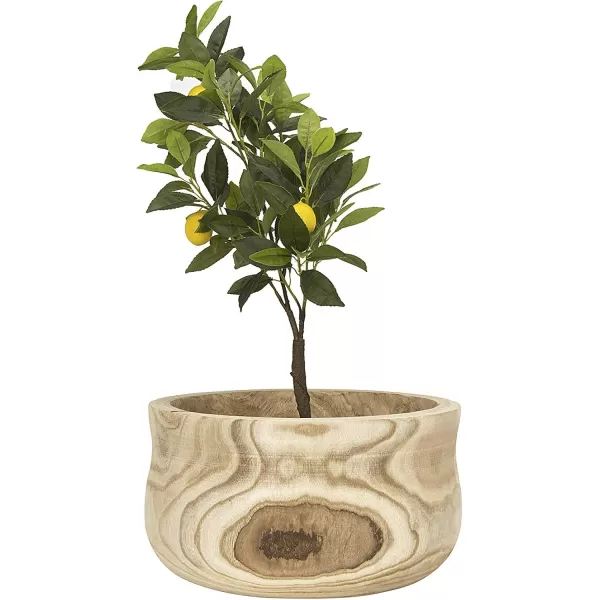 imageCreative CoOp Medium Natural Paulownia Wood PlanterLarge