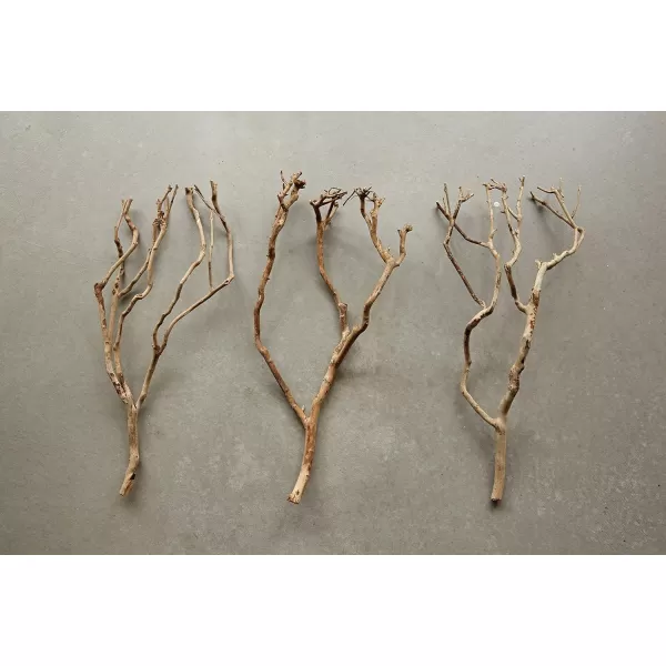 imageCreative CoOp Tea Tree Branch Decoration