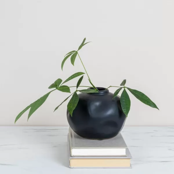 imageCreative CoOp Black Pinched Organic Shape Terracotta Vase MatteBlack