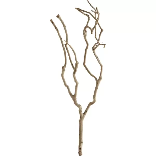 imageCreative CoOp Tea Tree Branch Decoration