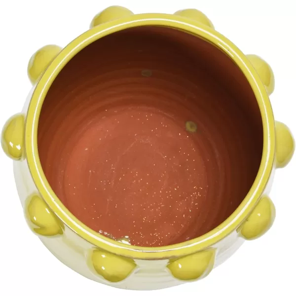 imageCreative CoOp TerraCotta Planter with Raised Dots Matte TerracottaChartreuse