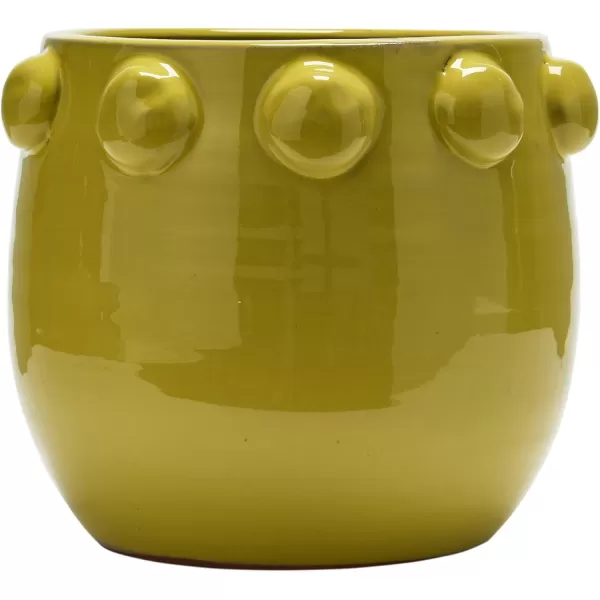 imageCreative CoOp TerraCotta Planter with Raised Dots Matte TerracottaChartreuse