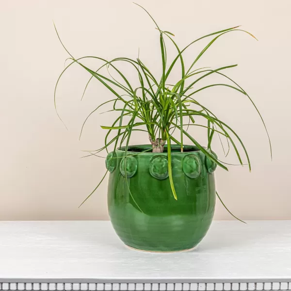 imageCreative CoOp TerraCotta Planter with Raised Dots Matte TerracottaGreen