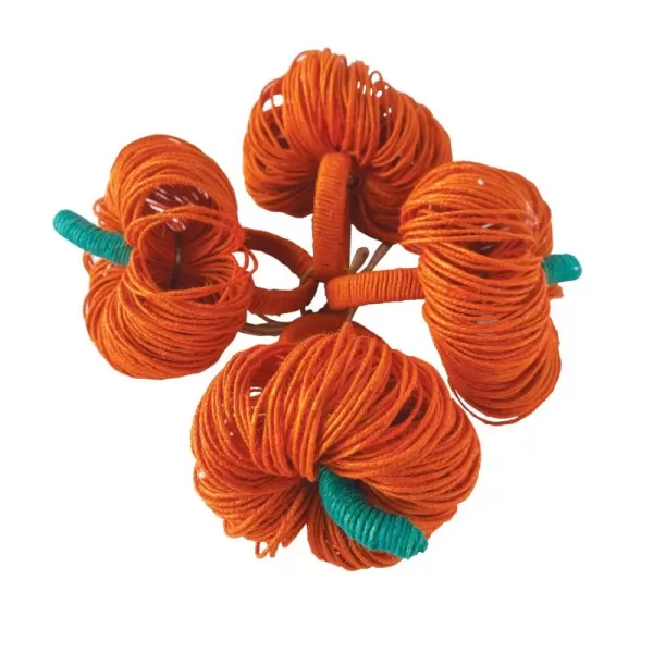 imageCreative CoOp Jute Pumpkin Napkin Rings Orange and Green Set of 4