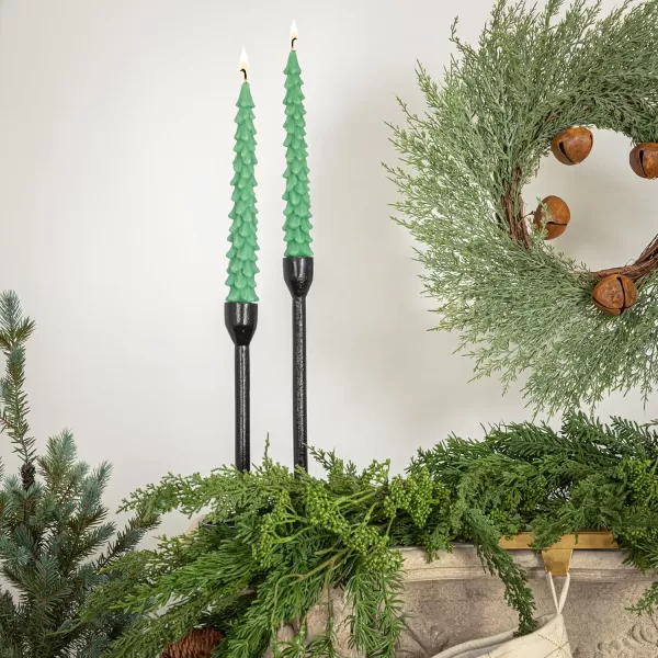 imageCreative CoOp Unscented Textured Tree Shaped Taper Candles in Box Pewter Color Set of 2Aqua