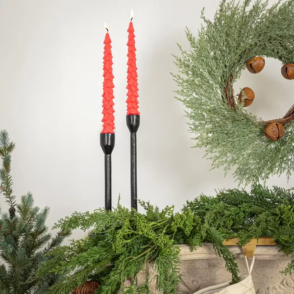 imageCreative CoOp Unscented Textured Tree Shaped Taper Candles in Box Pewter Color Set of 2Watermelon