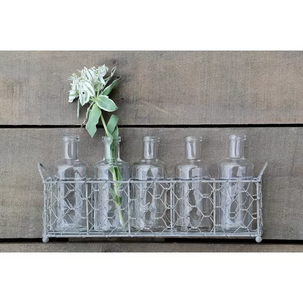 imageCreative CoOp Wire Holder with 5 Glass Vase Bottles