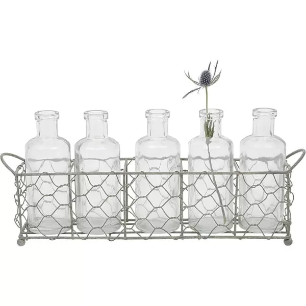 imageCreative CoOp Wire Holder with 5 Glass Vase Bottles