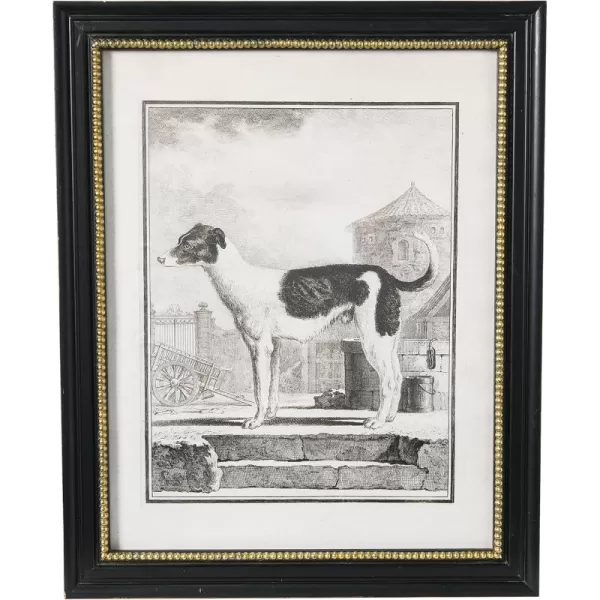 imageCreative CoOp Vintage Reproduction Dog Print with Solid Wood Frame